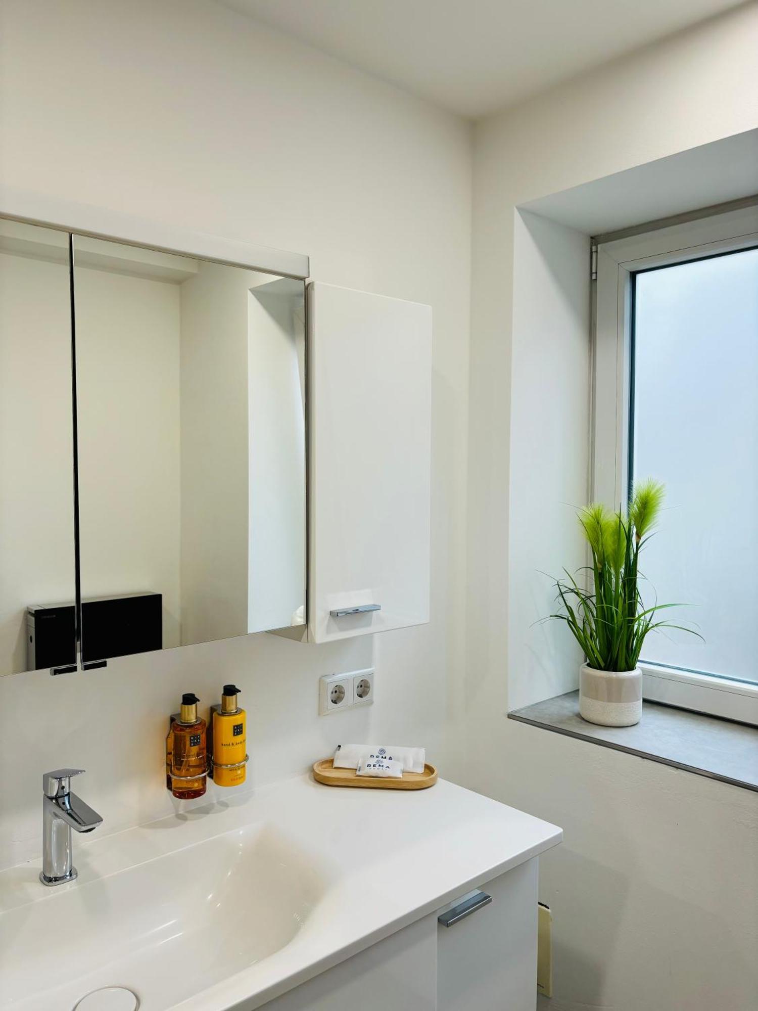 Apartmán Jacuzzi Terrasse 55' Tv Kueche Regendusche Bad Bellingen Exteriér fotografie